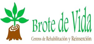 Asociación Brote de Vida